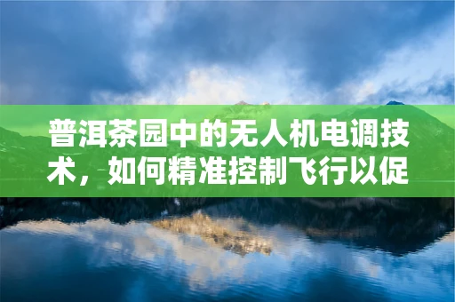 普洱茶园中的无人机电调技术，如何精准控制飞行以促进高效茶园管理？