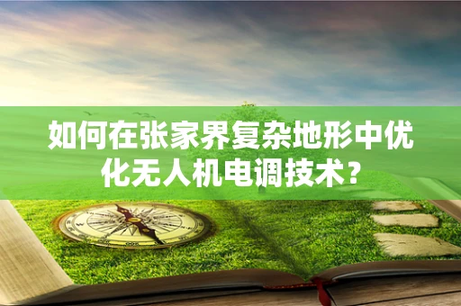 如何在张家界复杂地形中优化无人机电调技术？