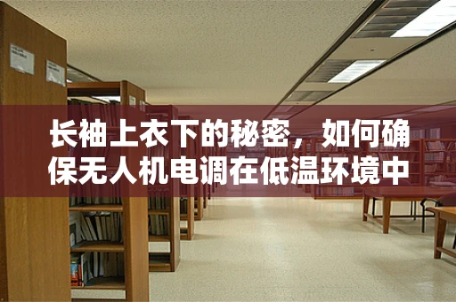 长袖上衣下的秘密，如何确保无人机电调在低温环境中的稳定运行？