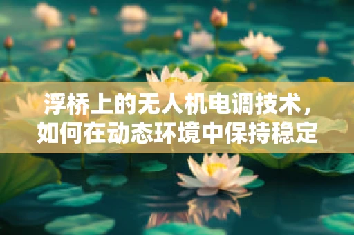 浮桥上的无人机电调技术，如何在动态环境中保持稳定？