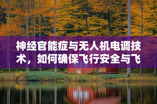 神经官能症与无人机电调技术，如何确保飞行安全与飞行员心理健康？