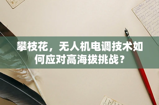 攀枝花，无人机电调技术如何应对高海拔挑战？