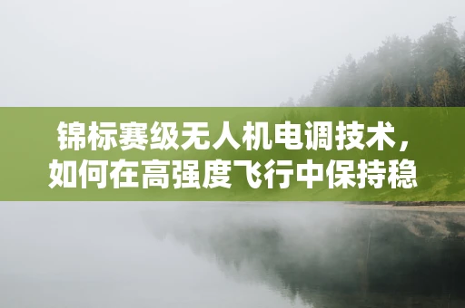 锦标赛级无人机电调技术，如何在高强度飞行中保持稳定？