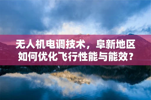 无人机电调技术，阜新地区如何优化飞行性能与能效？