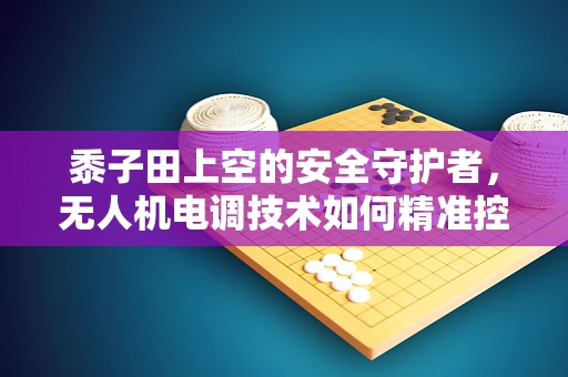 黍子田上空的安全守护者，无人机电调技术如何精准控制飞行？