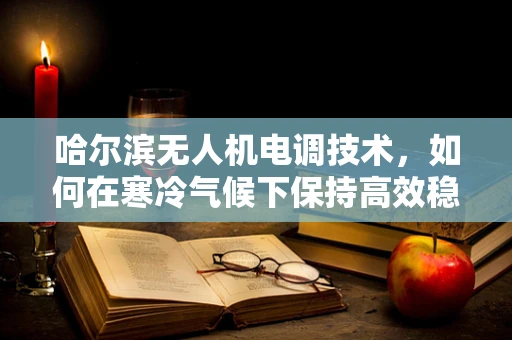 哈尔滨无人机电调技术，如何在寒冷气候下保持高效稳定飞行？