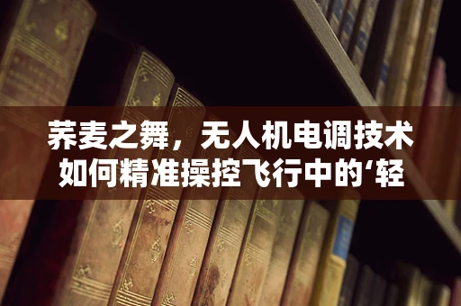 荞麦之舞，无人机电调技术如何精准操控飞行中的‘轻盈舞者’？