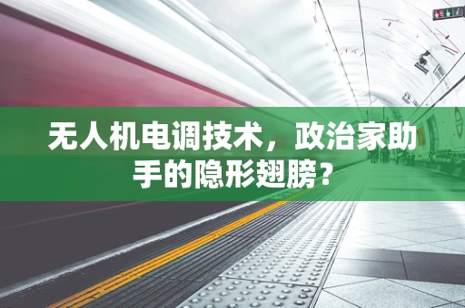 无人机电调技术，政治家助手的隐形翅膀？