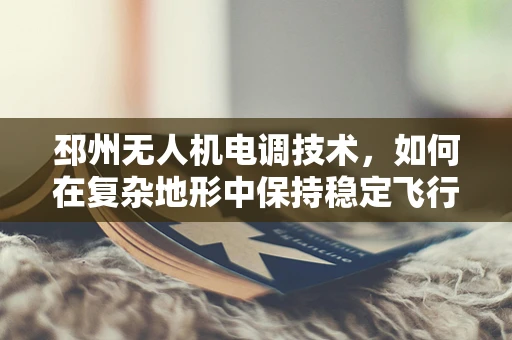 邳州无人机电调技术，如何在复杂地形中保持稳定飞行？