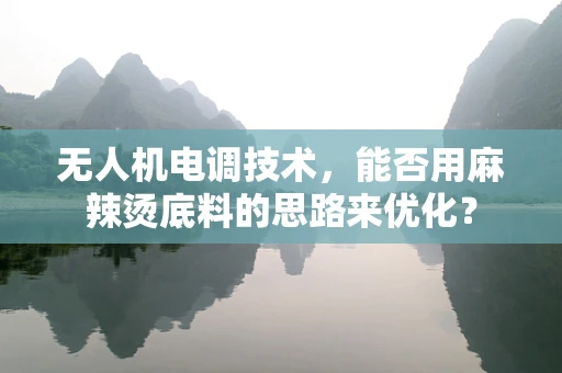 无人机电调技术，能否用麻辣烫底料的思路来优化？