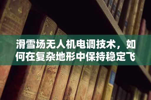 滑雪场无人机电调技术，如何在复杂地形中保持稳定飞行？