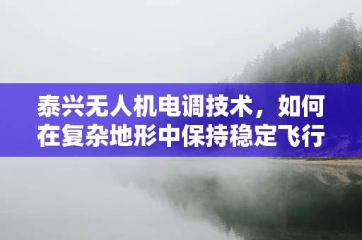 泰兴无人机电调技术，如何在复杂地形中保持稳定飞行？