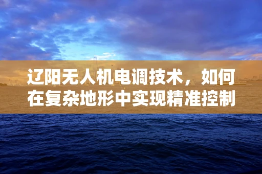 辽阳无人机电调技术，如何在复杂地形中实现精准控制？