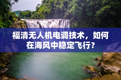 福清无人机电调技术，如何在海风中稳定飞行？