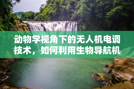 动物学视角下的无人机电调技术，如何利用生物导航机制优化飞行控制？