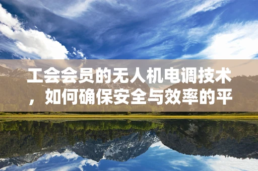 工会会员的无人机电调技术，如何确保安全与效率的平衡？