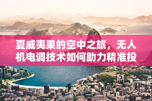 夏威夷果的空中之旅，无人机电调技术如何助力精准投送？