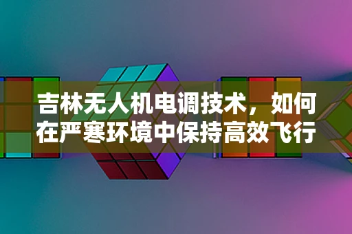 吉林无人机电调技术，如何在严寒环境中保持高效飞行？