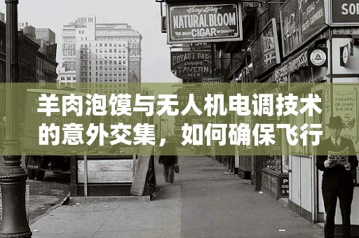 羊肉泡馍与无人机电调技术的意外交集，如何确保飞行中的美味不干扰信号？