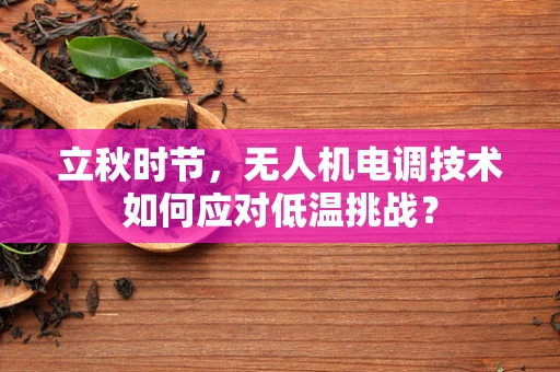 立秋时节，无人机电调技术如何应对低温挑战？