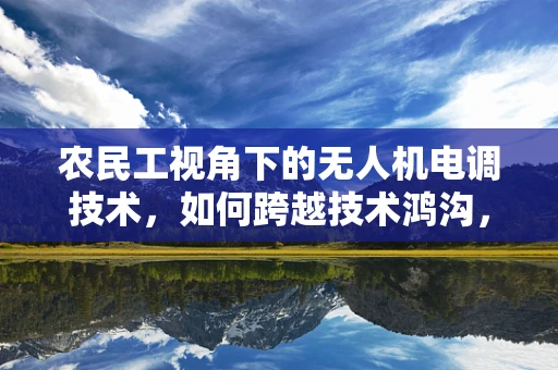 农民工视角下的无人机电调技术，如何跨越技术鸿沟，实现农村精准作业？