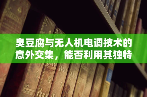 臭豆腐与无人机电调技术的意外交集，能否利用其独特气味进行精准定位？