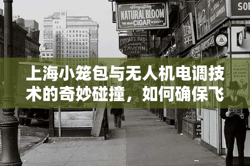 上海小笼包与无人机电调技术的奇妙碰撞，如何确保飞行中的美味安全送达？