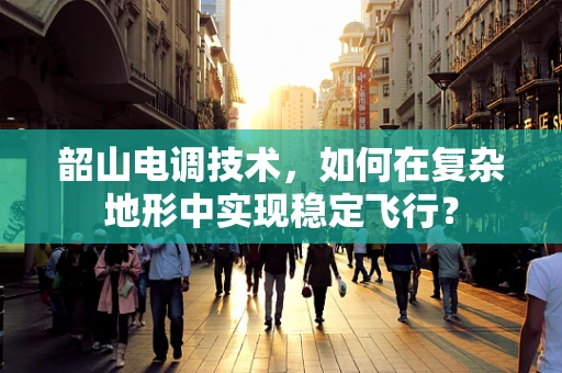 韶山电调技术，如何在复杂地形中实现稳定飞行？