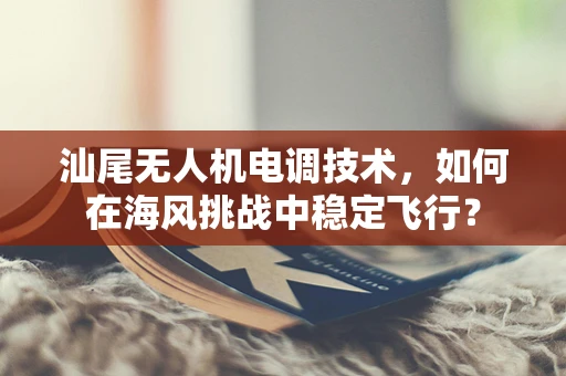 汕尾无人机电调技术，如何在海风挑战中稳定飞行？