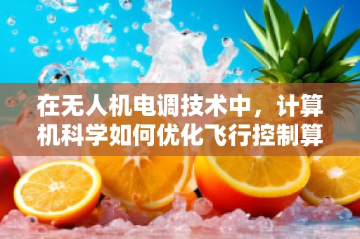 在无人机电调技术中，计算机科学如何优化飞行控制算法的效率与精度？