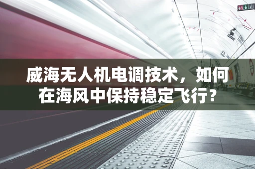 威海无人机电调技术，如何在海风中保持稳定飞行？