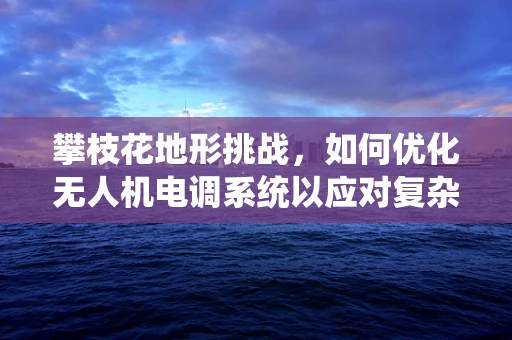 攀枝花地形挑战，如何优化无人机电调系统以应对复杂山地飞行？