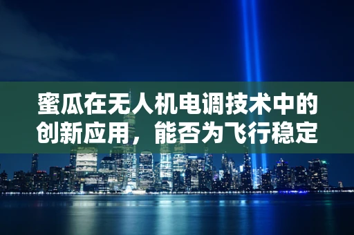 蜜瓜在无人机电调技术中的创新应用，能否为飞行稳定性带来甜蜜惊喜？