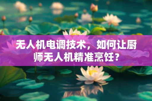 无人机电调技术，如何让厨师无人机精准烹饪？