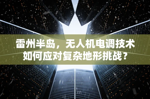 雷州半岛，无人机电调技术如何应对复杂地形挑战？