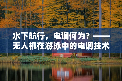 水下航行，电调何为？——无人机在游泳中的电调技术挑战