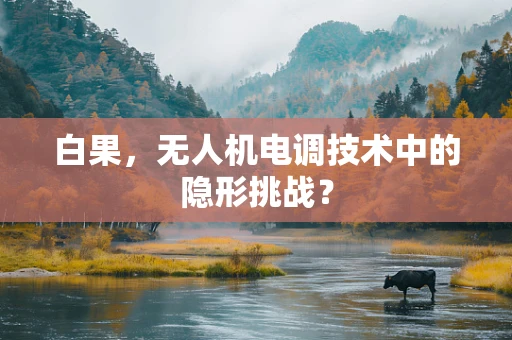 白果，无人机电调技术中的隐形挑战？