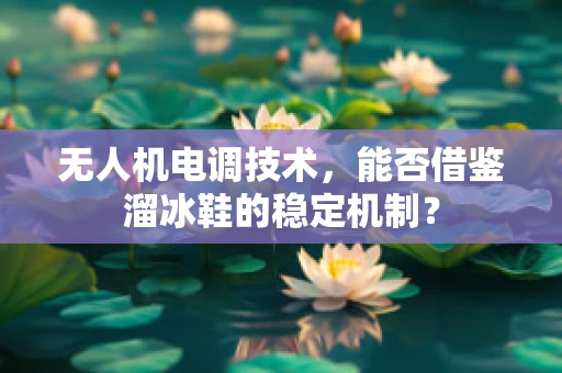 无人机电调技术，能否借鉴溜冰鞋的稳定机制？