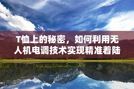 T恤上的秘密，如何利用无人机电调技术实现精准着陆？