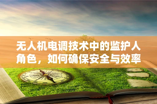 无人机电调技术中的监护人角色，如何确保安全与效率的双重保障？