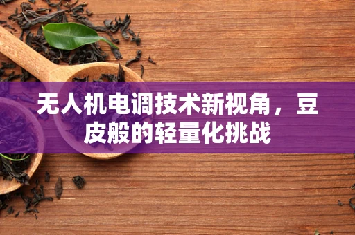 无人机电调技术新视角，豆皮般的轻量化挑战