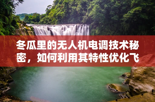 冬瓜里的无人机电调技术秘密，如何利用其特性优化飞行稳定性？