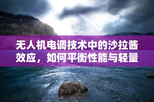 无人机电调技术中的沙拉酱效应，如何平衡性能与轻量化？