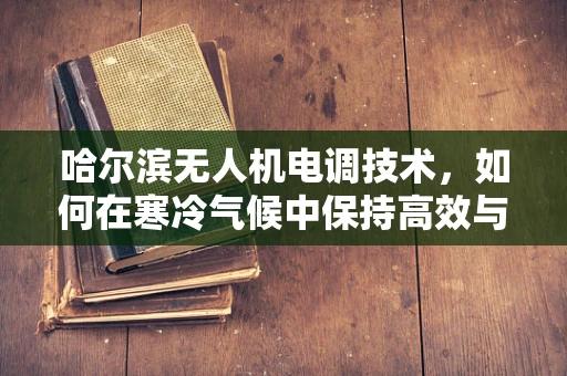 哈尔滨无人机电调技术，如何在寒冷气候中保持高效与稳定？