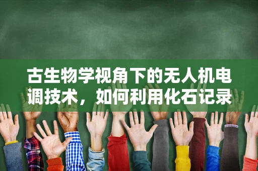 古生物学视角下的无人机电调技术，如何利用化石记录优化飞行控制？