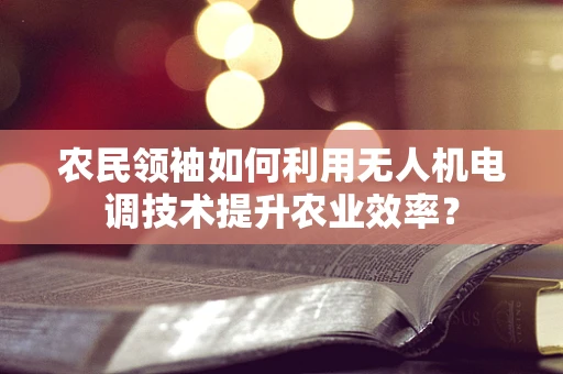 农民领袖如何利用无人机电调技术提升农业效率？