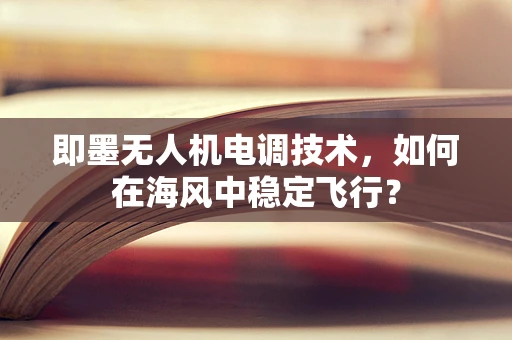 即墨无人机电调技术，如何在海风中稳定飞行？