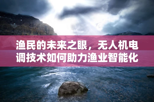 渔民的未来之眼，无人机电调技术如何助力渔业智能化？