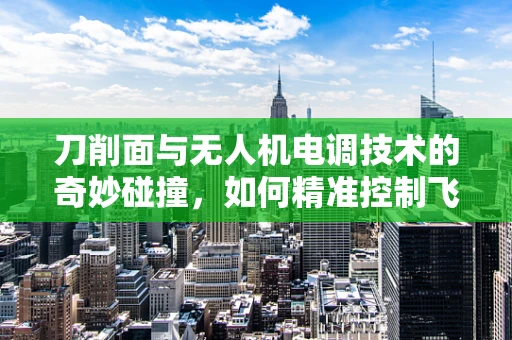 刀削面与无人机电调技术的奇妙碰撞，如何精准控制飞行中的切面精度？