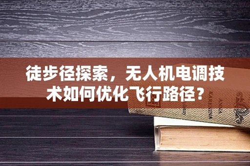 徒步径探索，无人机电调技术如何优化飞行路径？